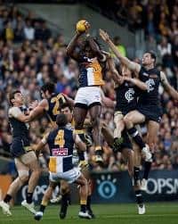 AFL WC EAGLES CARLTON