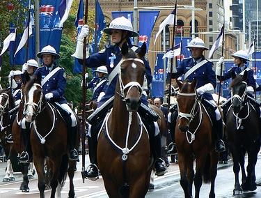 horses