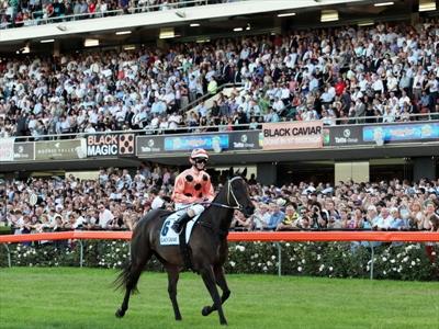 Black Caviar