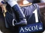 Ascot_Anderson_Tours