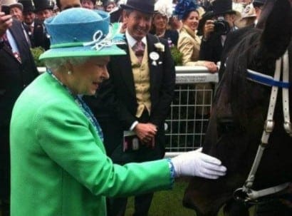 The two Queens of Australia - Her Majesty and Black Caviar