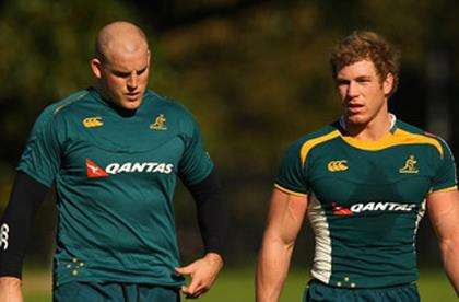 Wallabies