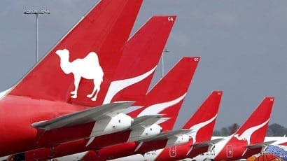 Flying Kangaroo becomes Flying Camel?