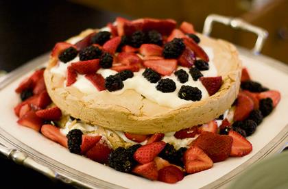 Pavlova passion