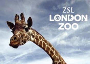 london Zoo