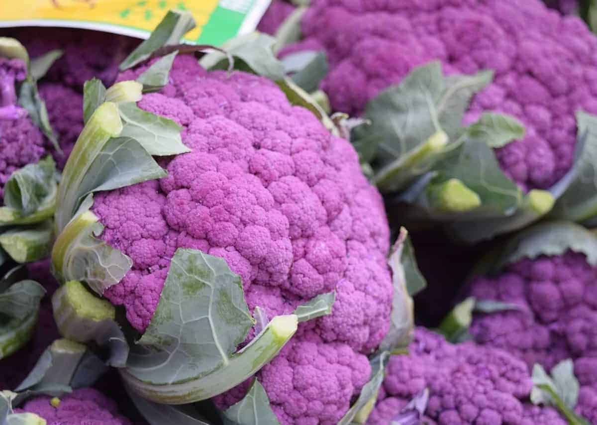 Purple Sprouting Broccoli Recipe