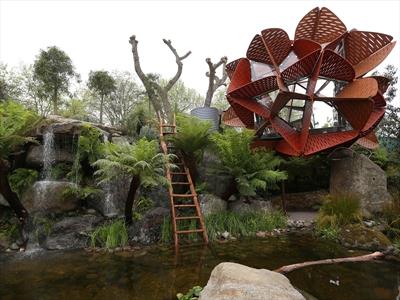 Australia’s audacious garden design has won the top prize at the prestigious Chelsea Flower Show for the first time. 