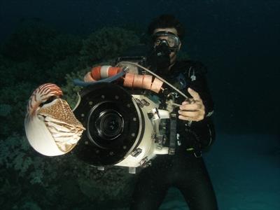 Great Barrier Reef Online on YouTube