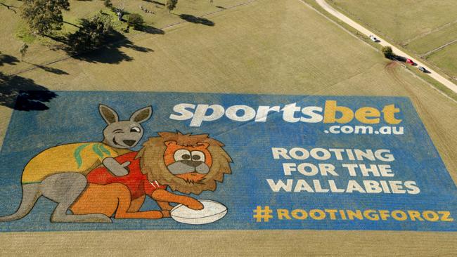 sportsbet Wallabies Lions Test series ad