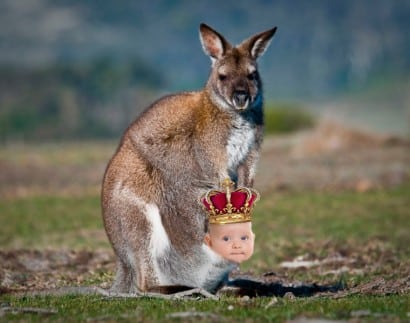 Royal Australian Baby