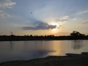 Ngala Private Game Reserve