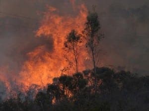 NSW Fires