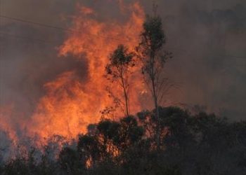 NSW Fires