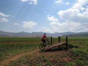 Craig Lewis on a mountain bike trail (1)