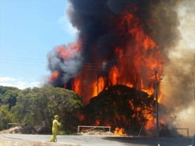 bushfire urban terrorism