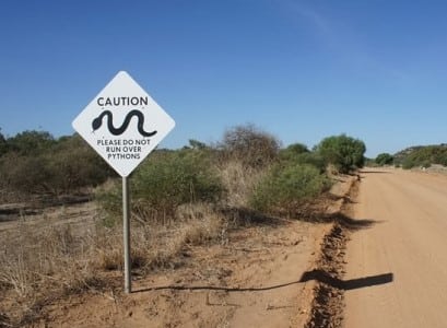 Australia snake python sign