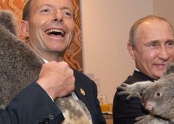 G20 - koalas - Putin and Abbott