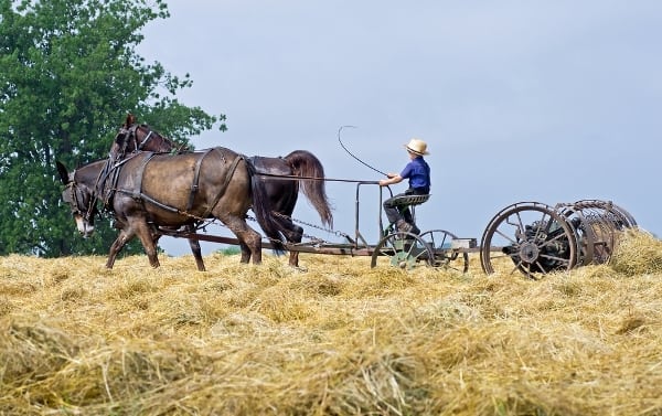 Amish country, USA