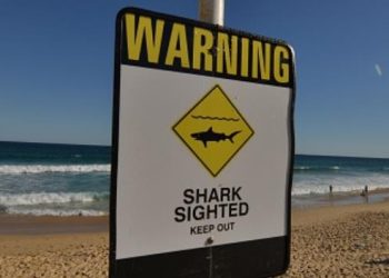 Australia - shark - sign closed