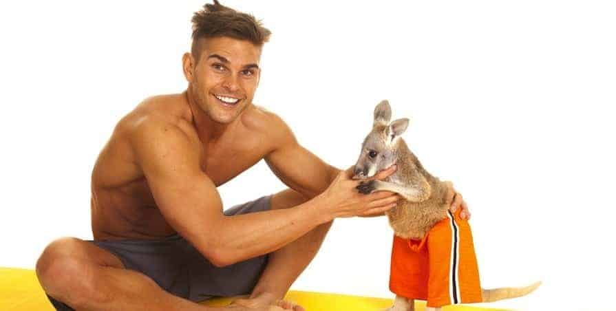Pet kangaroo