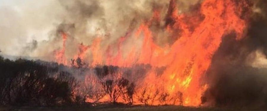 WA bushfires