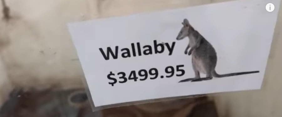 wallaby-price-tag