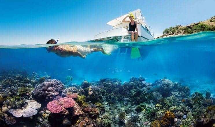 Great Barrier Reef - snorkling