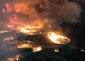Australia is a bushfire-prone nation. But several factors make this fire season worse than those past. (Image supplied: Victorian Government/The Conversation)