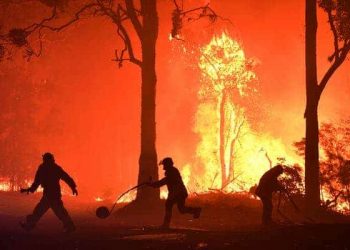 Firefighters battle flames encroaching on properties near Termeil on the NSW south coast, where lives and homes have been lost. (Dean Lewins/AAP/The Conversation)