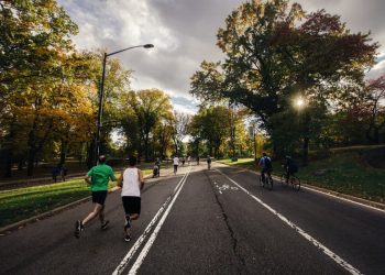 Photo by Chanan Greenblatt on Unsplash