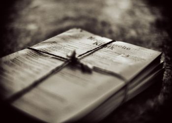 Photo by Denny Müller on Unsplash