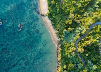 Photo by Kiril Dobrev on Unsplash