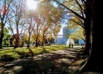 Photo by paul macallan on Unsplash