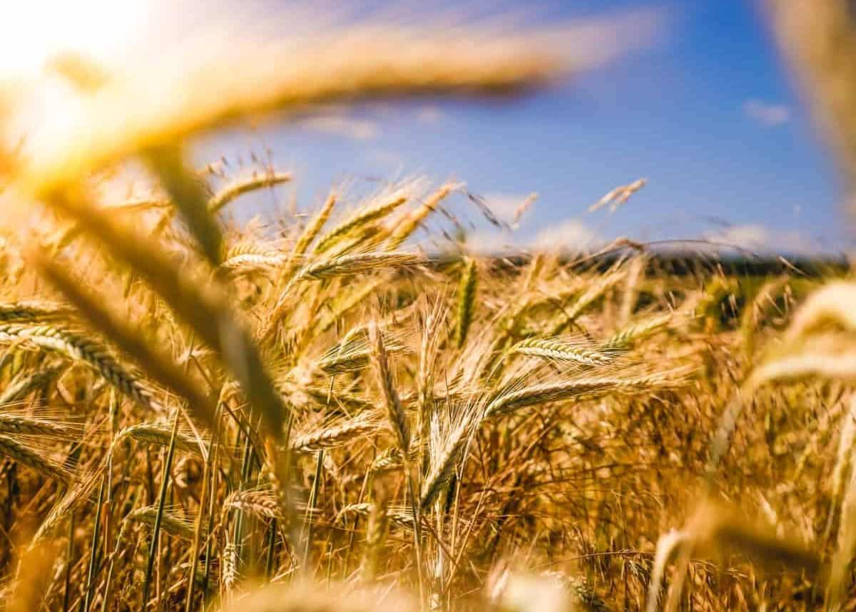 Photo by Raphael Rychetsky on Unsplash