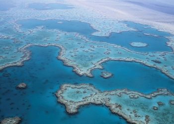 Photo by form PxHere