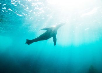 Photo by Jeremy Bishop on Unsplash