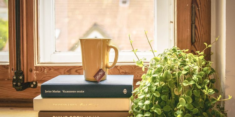 Book Read Tea Literature Window Sill Houseplant