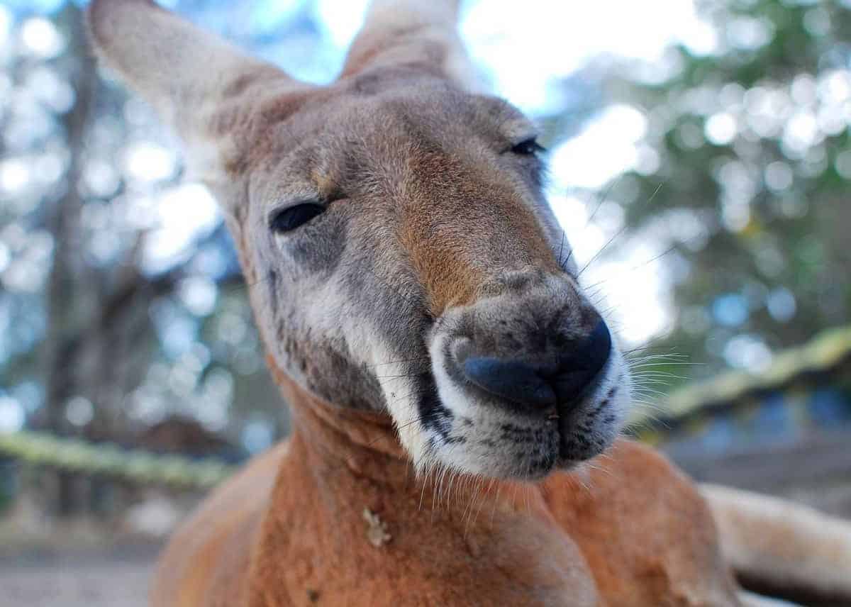 Image by Free-Photos on Pixabay