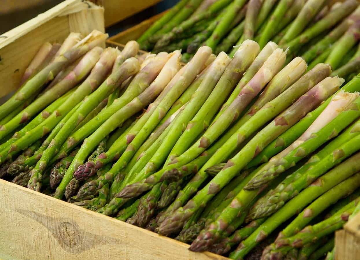 Asparagus appreciation