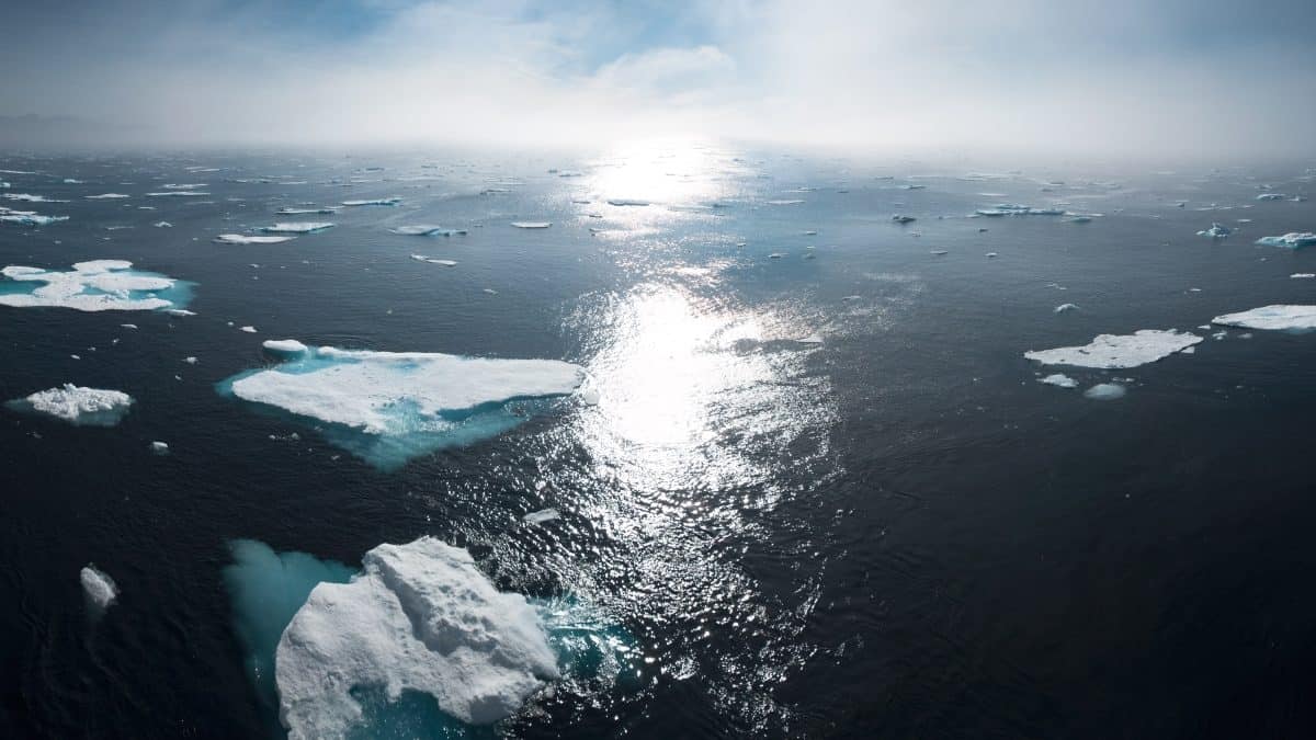 The Arctic is warming so much faster than the rest of the world