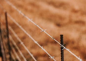 Illegal hunters are a bigger problem on farms than animal activists