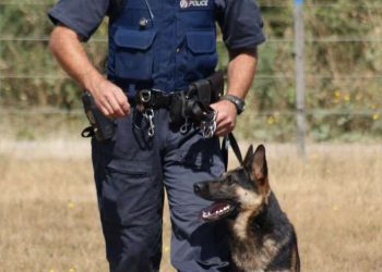 Gunman kills New Zealand police officer