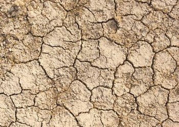 Climate deniers in Australia