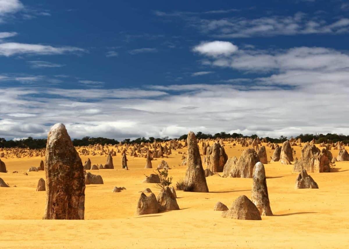 Non-Indigenous Australians need to educate themselves