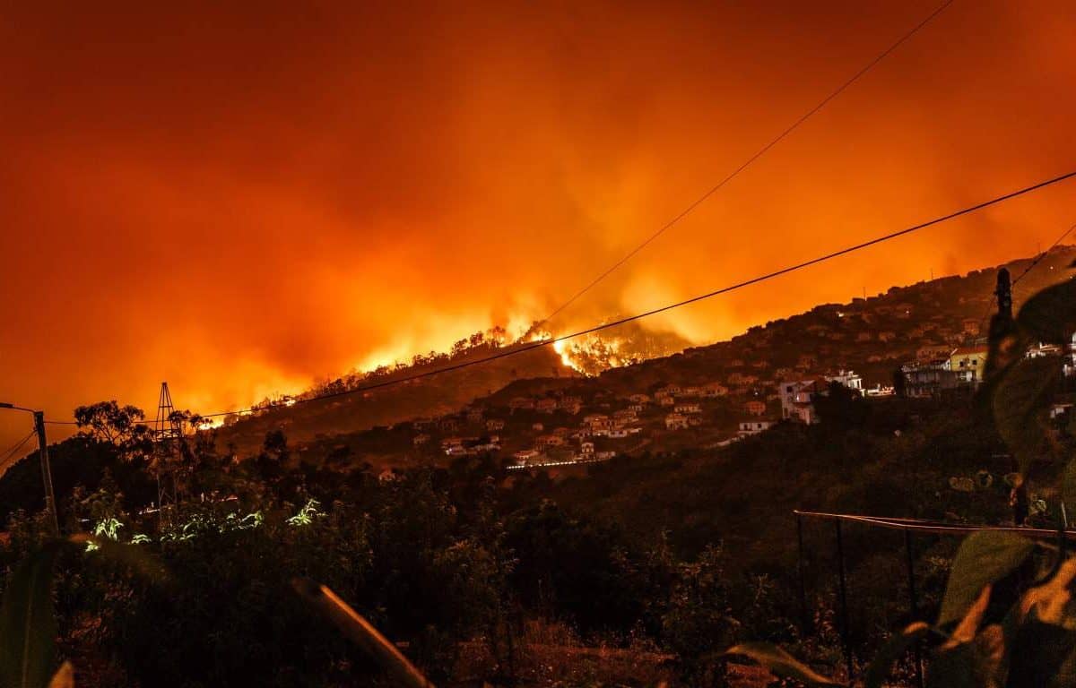 It’s 12 months since the last bushfire season began