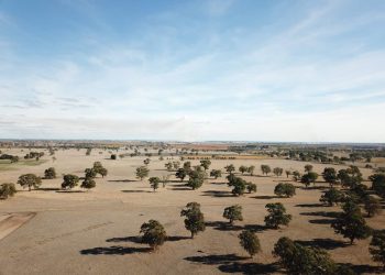 South Australia will re-open its borders