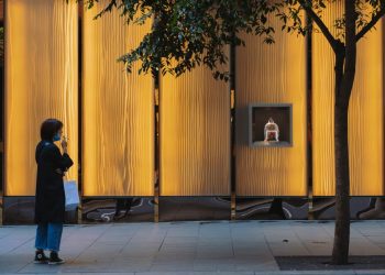 Coronavirus: why it’s dangerous to blindly ‘follow the science’