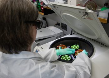 It’s time for an Australian Centre for Disease Control