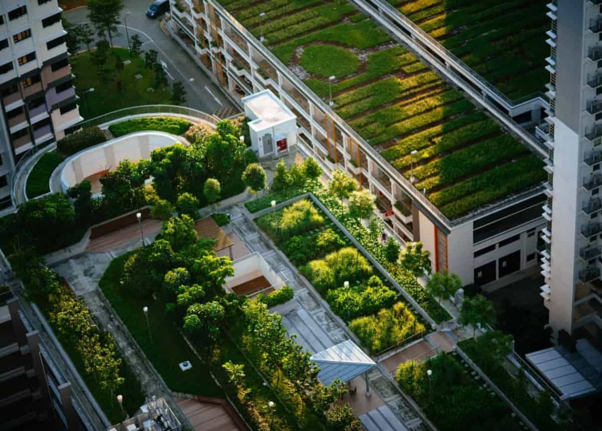 Greening our grey cities