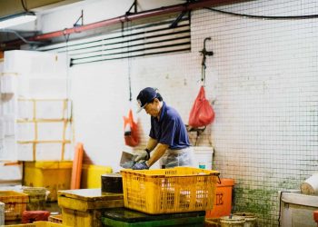 Economists back wage freeze